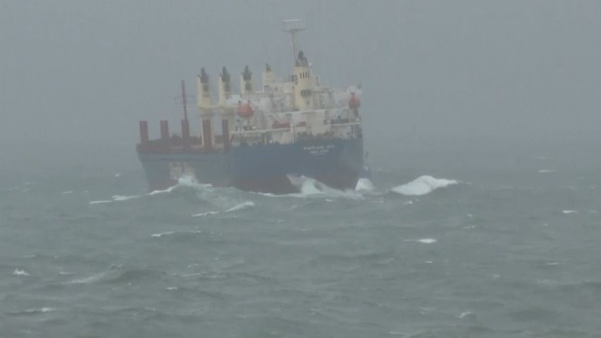Video: U Sydney uvázla loď s tunami oleje. Znečištění by způsobila obrovské